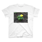 吉原教室の初夏の花壇 Regular Fit T-Shirt