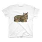えのきの猫 Regular Fit T-Shirt