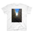 Landscape のSANDIEGO スタンダードTシャツ