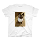 Siamese cat シャムのSiamese cat シャム猫 スタンダードTシャツ