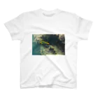 Aimomiの石垣の海 Regular Fit T-Shirt