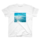 よしおのふぉとじぇにっく📸の涼やかな海 スタンダードTシャツ