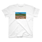 tamaccoの甲子園 スタンダードTシャツ