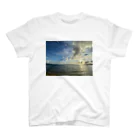 しょれべーのあの日の夕焼け空 スタンダードTシャツ