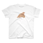 piro piro piccoloのライチョウ親子 Regular Fit T-Shirt