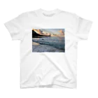 ライフスタイルグッズのHawaiian photograph スタンダードTシャツ