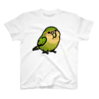 Cody the LovebirdのChubby Bird カカポ スタンダードTシャツ