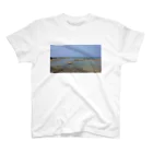 トントコトンの徳之島の海 Regular Fit T-Shirt