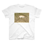 無＿使いの実家の犬 Regular Fit T-Shirt