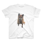 柴犬と柴犬のshibainuうちの子 Regular Fit T-Shirt