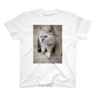 Elfi, Cherie, Felicia, Asher, Bae&Ameliaのサイベリアンの子猫(ブルーポイント) Regular Fit T-Shirt