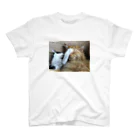猫太郎のスタンダードTシャツ
