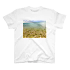 leo_leoの海 Regular Fit T-Shirt
