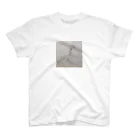 なつかみつの袋の中の人 Regular Fit T-Shirt