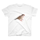 文鳥の千代丸と紅緒のあくびする千代丸 Regular Fit T-Shirt