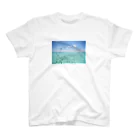 琥珀ぬこの海のなかまたち(写真合成ver) スタンダードTシャツ