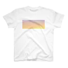 塩まみれのグラデーション 夕方 スタンダードTシャツ