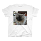 小圷のうちの猫 Regular Fit T-Shirt