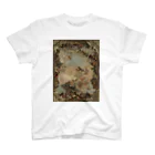 museumshop3の【世界の名画】ティエポロ『惑星と大陸の寓意画 』 スタンダードTシャツ