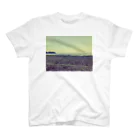 ArchitectのCoast スタンダードTシャツ