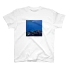 A_Uの別世界１ 西表島 スタンダードTシャツ