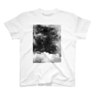 Rin-sui photographyのcloud スタンダードTシャツ