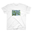 super freshのNemophila スタンダードTシャツ