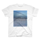 Orchestra:Suzuri支店の世界の風景:Arctic3 Regular Fit T-Shirt