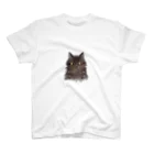 庭のねこ スタンダードTシャツ