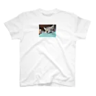 ほのぼのライフの子猫のちび Regular Fit T-Shirt