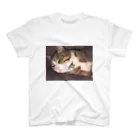 625626のぶさいく猫 Regular Fit T-Shirt