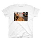 オラのネッコを見てくれのemergency cat Regular Fit T-Shirt