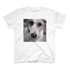 Tomyのdog スタンダードTシャツ