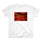 otakeの写真店の真っ赤な彼岸花 スタンダードTシャツ