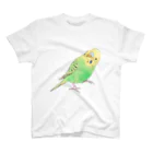 まめるりはことりの首傾げセキセイインコ　ピーちゃん【まめるりはことり】 スタンダードTシャツ