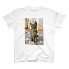 AWA・AWAの子猫の眼差し Regular Fit T-Shirt