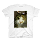 powpowの寝ぼけ猫 Regular Fit T-Shirt