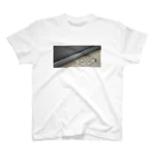 空中分解するもすらのわしのしゃしん Regular Fit T-Shirt