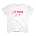 JIMOTO Wear Local Japanの小田原市 ODAWARA CITY スタンダードTシャツ