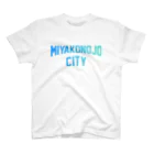 JIMOTO Wear Local Japanの都城市 MIYAKONOJO CITY スタンダードTシャツ