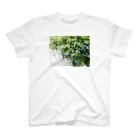 photo-kiokuのルリマツリ Regular Fit T-Shirt