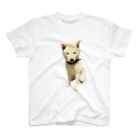 犬と猫と1日の豆柴犬のいっしんくん2 スタンダードTシャツ