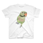 まめるりはことりのご機嫌なダルマインコちゃん【まめるりはことり】 Regular Fit T-Shirt