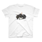 毎日猫さん犬さんの猫３T スタンダードTシャツ