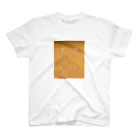 REKISHIの【used orange】 スタンダードTシャツ