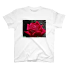 有川　弘治の薔薇 スタンダードTシャツ