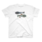 kkotomiiのさかなくん Regular Fit T-Shirt