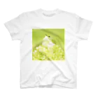 KISAのCelery〜イイジマムシクイ スタンダードTシャツ