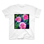 aoki_tanの牡丹の花 スタンダードTシャツ