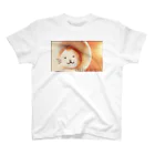 mofmenomossoのカプチーノ猫 スタンダードTシャツ